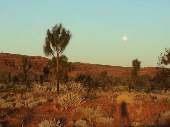 8.11. Alice Springs bis Kings Canyon