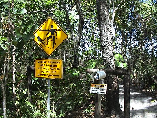 14.11. Cairns nach Port Douglas