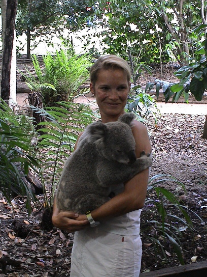 2.12. Koala in Brisbane