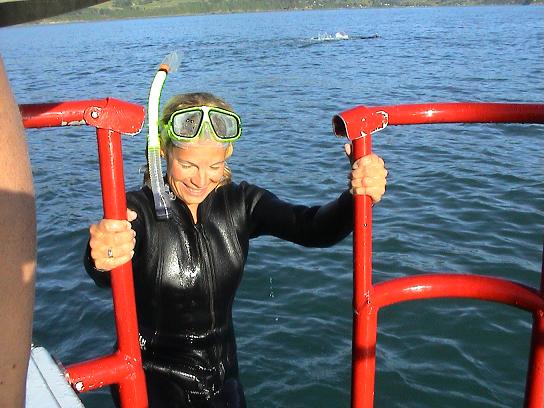 18.12. Akaroa bis Mt. Cook
