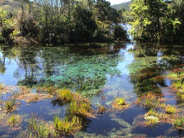28.12. Onekaka bis Marahau (Abel Tasman Nationalpark)