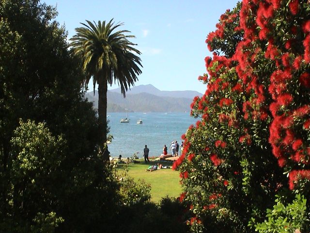 1.1. Queen Charlotte Sound bis Lower Hutt (Wellington Nordinsel)