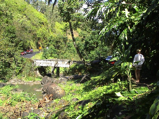 28.1. Maui - Road to Hana