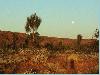 8.11. Alice Springs bis Kings Canyon