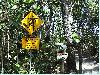 14.11. Cairns nach Port Douglas