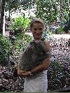 2.12. Koala in Brisbane