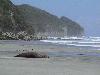 27.12. Westport bis Onekaka (Golden Bay)