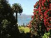 1.1. Queen Charlotte Sound bis Lower Hutt (Wellington Nordinsel)
