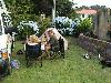 8.1. Rotorura bis Tairua Coromandel