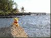 29.1. Maui - Schnorcheln