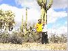 23.2. Gila Bend bis Tucson