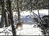 28.2. Flagstaff - Schneefall